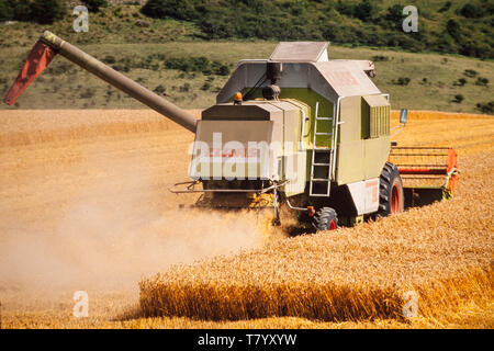 Mietitrebbia in funzionamento, il tempo del raccolto REGNO UNITO Foto Stock