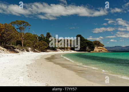 Uno splendido scenario chiamato scogliere dipinte su Maria isola nei pressi di Tasmania, Prenotazione nazionale, Australia. Foto Stock