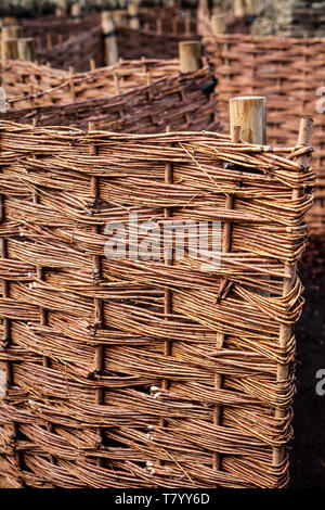 Hazel recinto ostacoli, tessuto tradizionale staccionata in legno pannelli realizzati da cedui nocciolo (Corylus sp.) Foto Stock