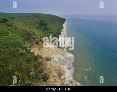 Le Bianche Scogliere di Dover. Kent. In Inghilterra. Regno Unito Foto Stock