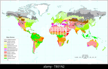 Messa a terra i principali biomi, mappa Foto Stock