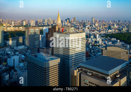 Tokyo, Giappone, panorama della città visto dall'Osservatorio del Governo Metropolitano palace Foto Stock