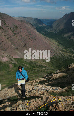 Il campo di studio, Glacier NP Foto Stock