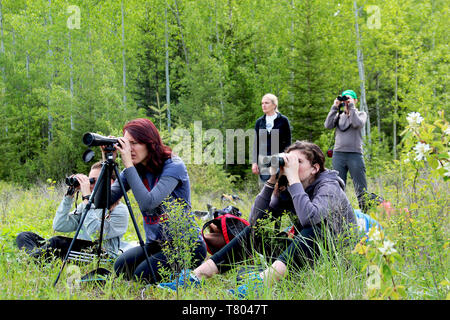 Cercando Loons, Glacier NP Foto Stock