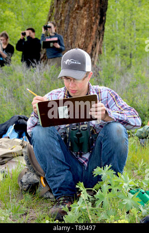 BioBlitz presso il Glacier NP Foto Stock