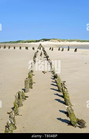 Rimane dell'isola Wangeroog railway all'estremità orientale di Wangerooge, Est Isole Frisone, il Mare del Nord, Bassa Sassonia, Germania Foto Stock