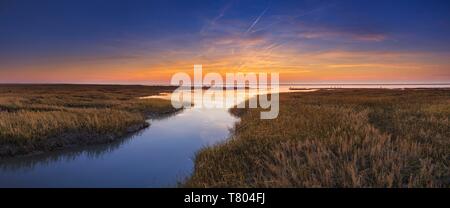Insenatura di marea in mare di Wadden al tramonto, Mare del Nord, Bassa Sassonia il Wadden Sea National Park, Bassa Sassonia, Germania Foto Stock