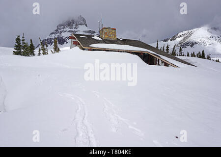 Neve profonda, Glacier NP Foto Stock