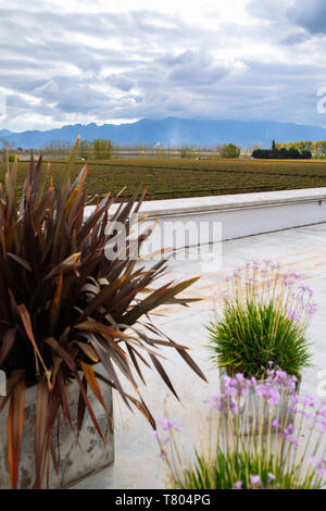 Ristorante Terrazza vista nella bodega Septima, Agrelo, Lujan de Cuyo, Mendoza, Argentina Foto Stock