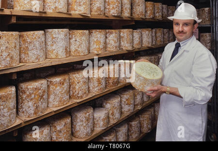 La stagionatura e blu di maturazione del formaggio Stilton conservato a lungo Clawson latteria, lunga Clawson, melton mowbray, leicestershire, England, Regno Unito Foto Stock