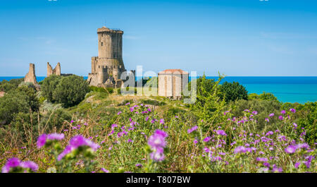 Le rovine della città antica di Velia con il mare in background, vicino a Ascea, Cilento, Campania, Italia meridionale. Foto Stock