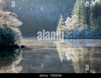 Una trasformata per forte gradiente frost e transitori Foschia sopra Loch Ard in Loch Lomond e il Trossachs National Park in pieno inverno, Distretto di Stirling, Scozia, Regno Unito Foto Stock