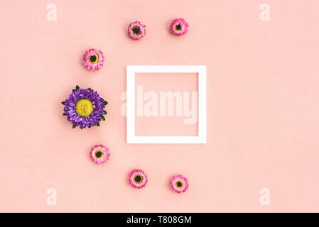 Strawflowers rosa e bianco quadrato telaio con copia spazio, su tela dello sfondo. Foto Stock