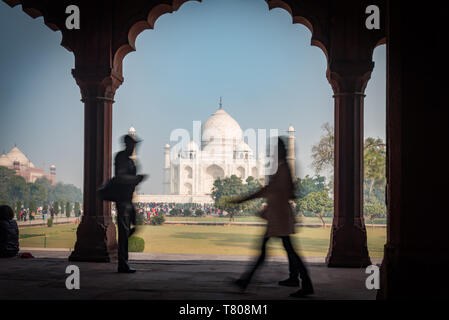 Il Taj Mahal, Sito Patrimonio Mondiale dell'UNESCO, Agra, Uttar Pradesh, India, Asia Foto Stock