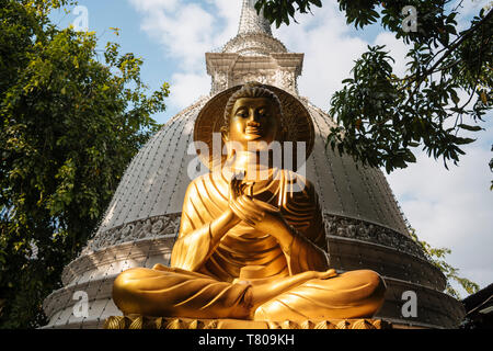 Statua del Buddha, Tempio di Gangaramaya, Colombo, provincia occidentale, Sri Lanka, Asia Foto Stock