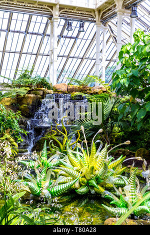 4 Maggio 2019 - Dale Chihuly sculture di vetro come parte della mostra temporanea a Kew Gardens, Londra Foto Stock