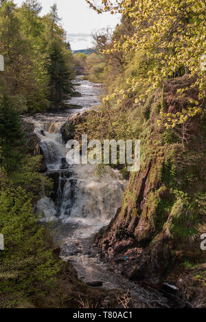 Il Reekie Linn cascata sul fiume Isla, Perthshire Scozia, in piena ondata attraverso il viale alberato di forra precipitosa. Foto Stock