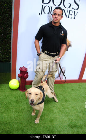 Los Angeles, California, STATI UNITI D'AMERICA del 9 maggio 2019 K-9 cane Bruno alla Universal Pictures e Amblin Entertainment presente la premiere di un cane di viaggio il 9 maggio 2019 a Arclight Hollywood in Los Angeles, California, USA. Foto di Barry re/Alamy Live News Foto Stock