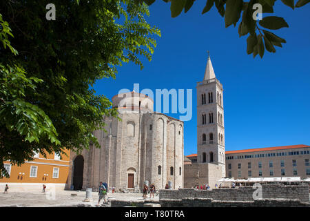 San Donato in chiesa e il campanile di Santa Anastasia la cattedrale di sul Forum, Zadar, Croazia Foto Stock