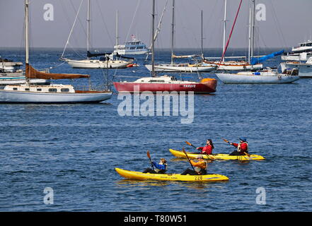 Ocean kayakers facendo una gita in barca intorno al molo Foto Stock