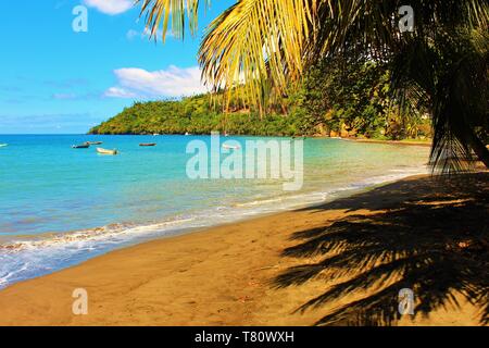 Una tipica spiaggia appartata sull'isola caraibica di Saint Vincent. Foto Stock