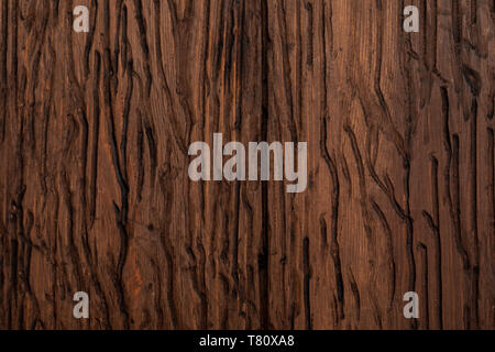 Legno pregiato texture. Di aspetto rustico e scuro, ocra, marrone, tostato, toni di nero. Le venature e i nodi sono apprezzati. Foto Stock