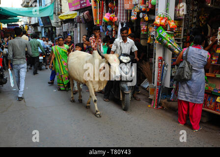 Affollata strada commerciale nel mercato con una vacca sacra, Mandvi, Gujarat, India, Asia Foto Stock