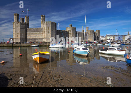 Barche ormeggiate vicino a Caernarfon Castle, Sito Patrimonio Mondiale dell'UNESCO, Gwynedd, Wales, Regno Unito, Europa Foto Stock