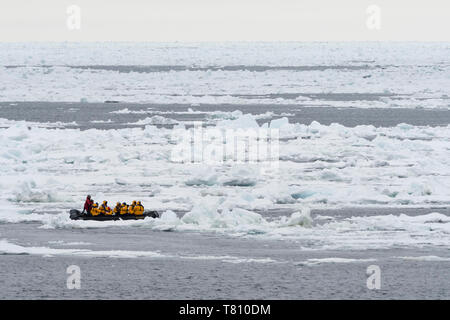 I turisti su imbarcazioni gonfiabili ad esplorare il ghiaccio polare cappuccio, 81 gradi, a nord di Spitsbergen, Svalbard artico, Norvegia, Europa Foto Stock