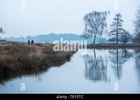 Pen stagni, laghi a Richmond Park, Richmond, London, England, Regno Unito, Europa