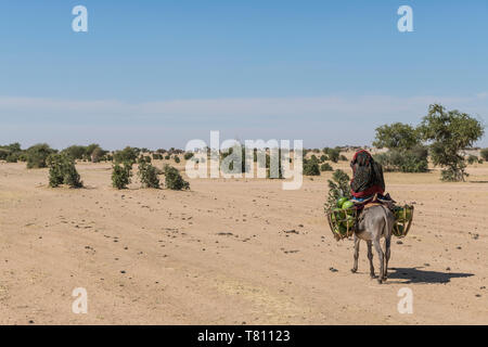 Donna sul suo asino, Abeche, Ciad, Africa Foto Stock