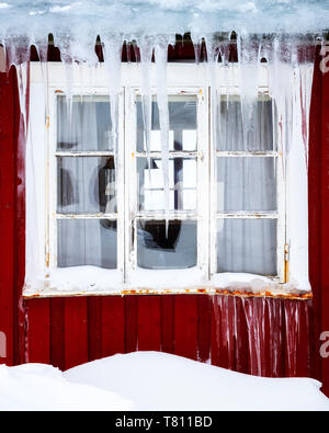 Congelati ghiaccioli su di un tradizionale finestra Rorbu in inverno, Nordland, Isole Lofoten in Norvegia, Europa Foto Stock