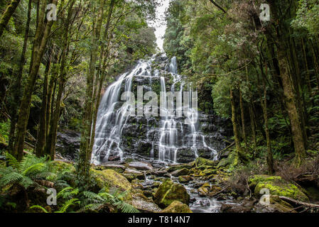 Cascate di Nelson Tasmania Foto Stock