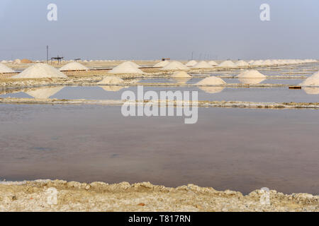 I mucchi di sale sul Sambhar Salt Lake. Il Rajasthan. India Foto Stock