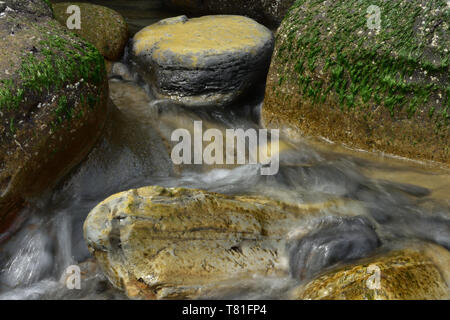 Cascate di pacifica Foto Stock