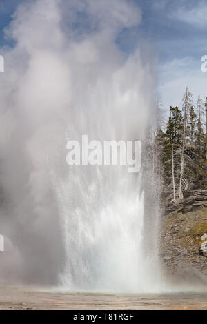 Grand Geyser Foto Stock