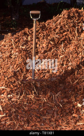 GRANDE AMMASSO DI RIVOLINI DI CORTECCIAMI E FORCHETTA DA GIARDINO PRONTA PER ESSERE SPARSA SUI LETTI DEL GIARDINO COME PACCIAME. Foto Stock