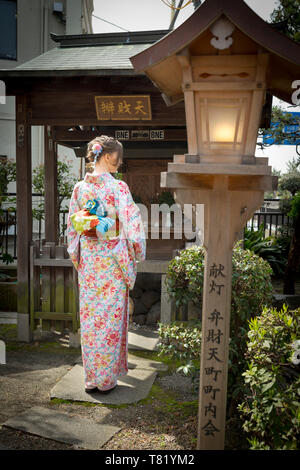 Fiori di Ciliegio in Kyoto Gion Foto Stock