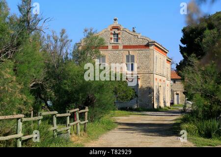 Francia, Bouches du Rhone, Camargue Parco Naturale Regionale, Arles, salin de giraud, Domaine de la palizzata Foto Stock