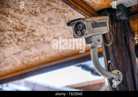 Bianco sporco bullet CCTV (televisione a circuito chiuso) fotocamera installazione su palo di legno Foto Stock
