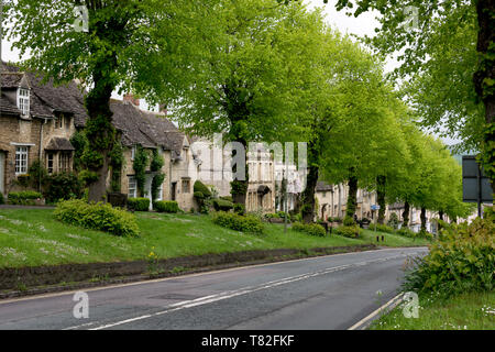 Alberi di lime in primavera, High Street, Burford, Oxfordshire, England, Regno Unito Foto Stock
