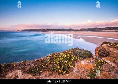 Il Portogallo, regione di Algarve, Southwest Alentejano e Costa Vicentina parco naturale, Carrapateira su Rota Vicentina sentiero escursionistico, tramonto sulla spiaggia Bordeira Foto Stock