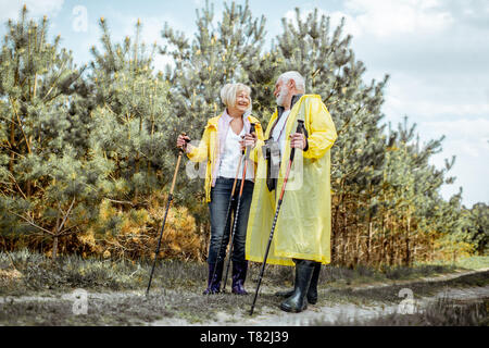 Felice coppia senior in giallo raincoats escursionismo con bastoncini da trekking nel giovane foresta di pini. Concetto di uno stile di vita attivo su pensionamento Foto Stock