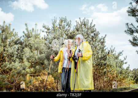 Felice coppia senior in giallo raincoats escursionismo con bastoncini da trekking nel giovane foresta di pini. Concetto di uno stile di vita attivo su pensionamento Foto Stock