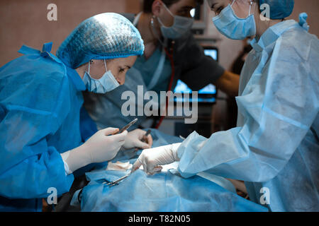 Un chirurgo femmina con un assistente esegue chirurgia senza incisioni. Foto Stock