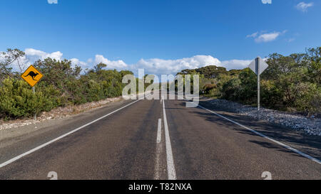 Segno indica il pericolo di attraversamento canguri su una strada in Kangaroo Island, Australia Meridionale Foto Stock