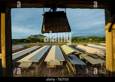 Papua Nuova Guinea, Golfo di Papua, Capitale Nazionale di Port Moresby, città di Bomana Prigione, la massima area di sicurezza Foto Stock