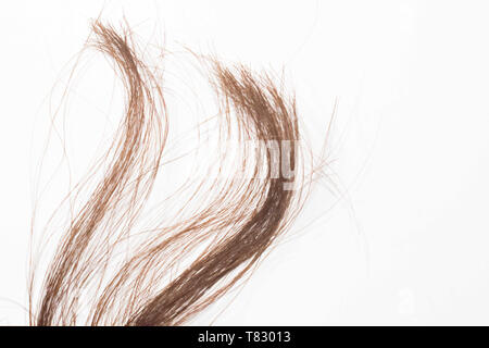 Pezzo di marrone capelli su sfondo bianco Foto Stock