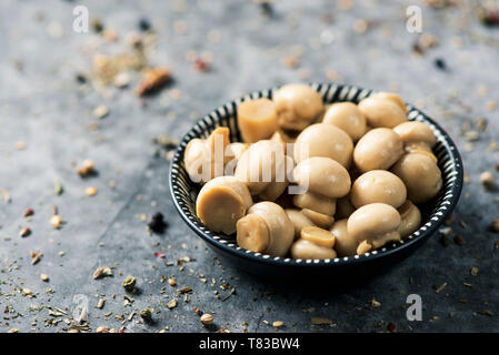 Primo piano di alcuni cotti mini comuni di funghi in bianco e nero ciotola posta su di una superficie di pietra, spruzzata con diverse spezie Foto Stock