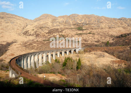 Viadotto Glenfinnan, costruito nel 1898, si trova a capo di Loch Shiel e porta la West Highland Line e patrimonio giacobita treno a vapore da Mallaig. Foto Stock